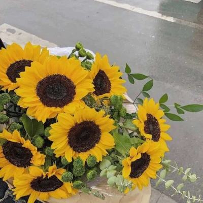 云开手机版截图